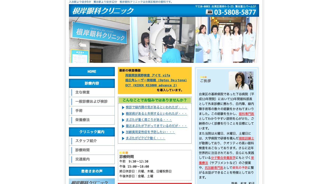 根岸眼科クリニック ホームページ